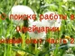 О поиске работы в Швейцарии. Новый опыт