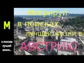 Мигрируй в поисках лучшей жизни. Вена, Австрия.