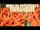 Цены на продукты в Германии (Совместный проект)