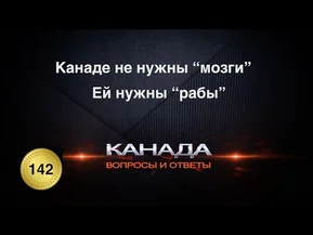 Канаде не нужны "мозги", ей нужны "рабы". Вопросы и ответы. Канада.