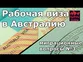 Рабочая виза в Австралию, как найти работодателя в Австралии. Австралия, Сидней