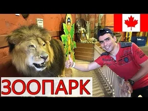 Канадский зоопарк + парк динозавров + аквапарк