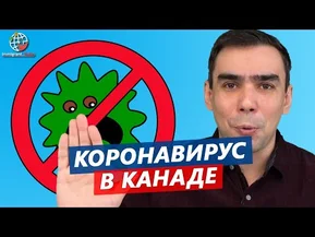 Коронавирус иммигрировал в Канаду - есть ли в стране паника?