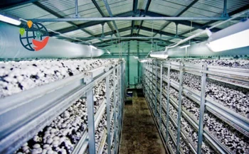 Do agencies offering jobs on mushroom farms in Canada lie