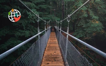 7 stunning bridges in Ontario that will make a visit an unforgettable experience