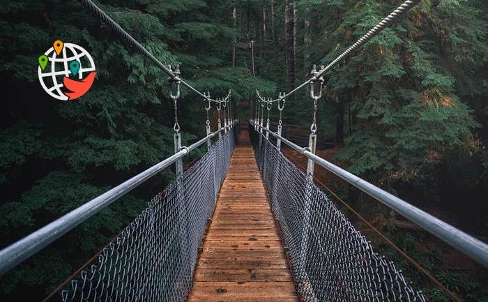 7 impresionantes puentes de Ontario que harán de su visita una experiencia inolvidable