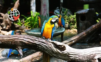 Le zoo de Toronto rouvre ses portes