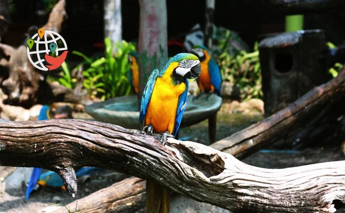 The Toronto Zoo is reopening