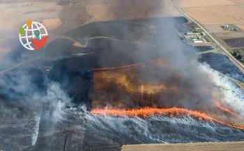 Abnormal heat wave causes several wildfires in Western Canada