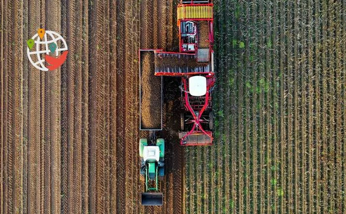 Inmigración a Alberta a través del Programa de Renovación Rural