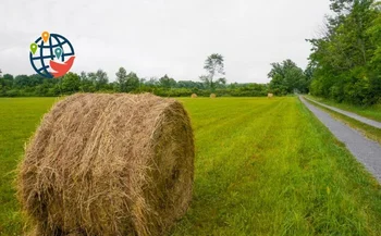 Około połowa kanadyjskich firm chce zatrudnić kogoś tego lata