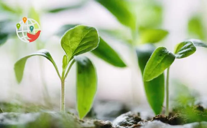 La tecnología única de un agricultor canadiense está revolucionando la agricultura