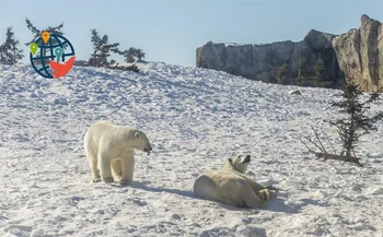 Il Manitoba ha tenuto le selezioni poco prima del nuovo anno.