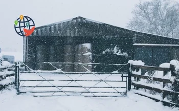 The freezing rain in Canada caused massive power outages. And it