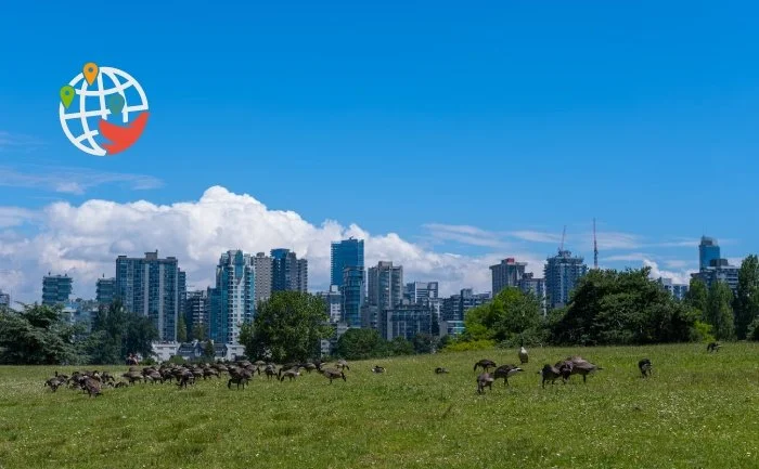 British Columbia ended January with another draw