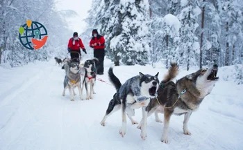 The Arctic Winter Games ended in Alberta. What are they?