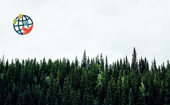 Neil Young parla per proteggere le antiche foreste del Canada