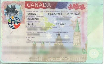 Obtaining a student visa - a review to the support of a licensed professional