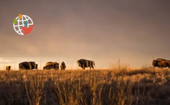 La plus grande attraction de la Saskatchewan en matière d