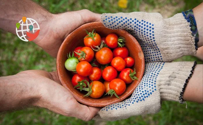 Canadá amplía el programa piloto de inmigración para trabajadores agrícolas