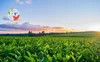 Agriculture in Canada needs entrepreneurs