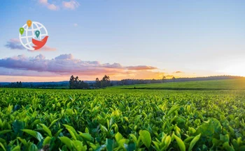 Die Landwirtschaft in Kanada braucht Unternehmer