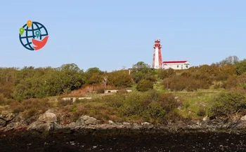 Geschichte der Auswahlverfahren für Einwanderer in New Brunswick: Anzahl der Einladungen