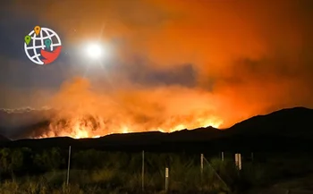 Forest fire on the Canada-U.S. border