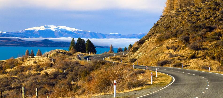 В Новой Зеландии иностранные водители представляют опасность