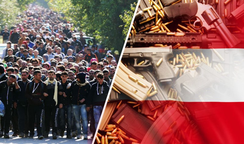 Мигрантам в Австрии запретят приобретать огнестрельное оружие