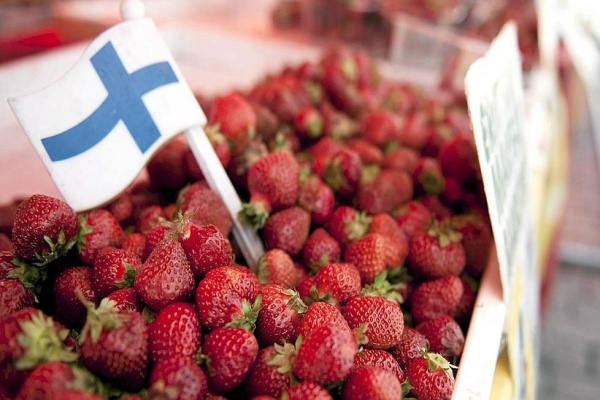 В Финляндии 50% индивидуальных предпринимателей зарабатывает менее 2000 евро в месяц
