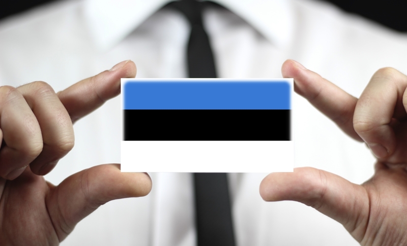 Эстония запустила стартап-визы для иностранных предпринимателей