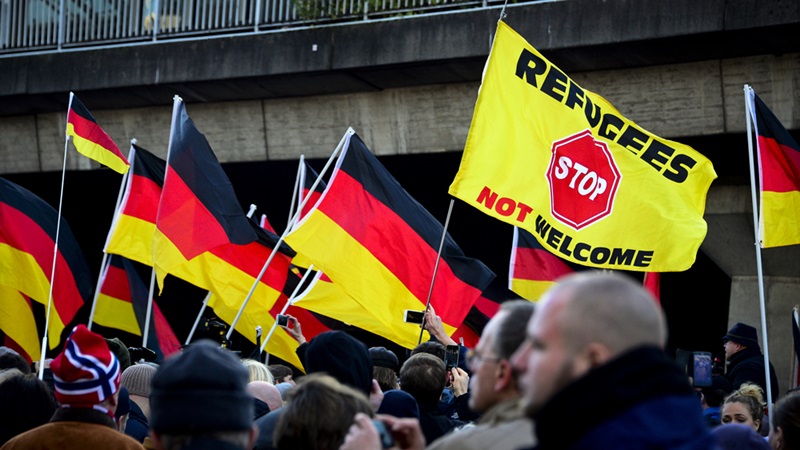 За год в Германии 3500 раз нападали на мигрантов