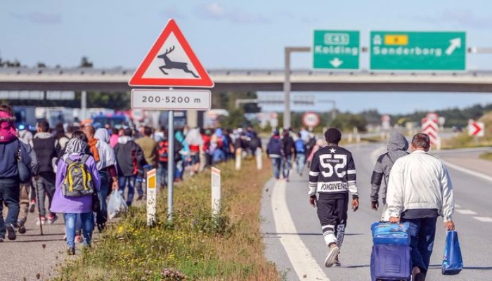 Дания не будет пускать детей-беженцев, несопровождаемых взрослыми