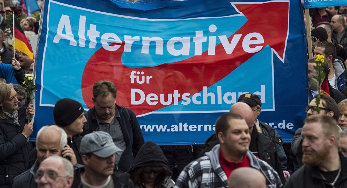 В Германии резко упала общественная поддержка анти-имигрантской партии Afd
