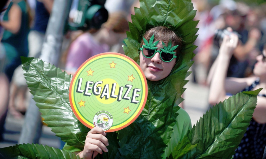 В Новой Зеландии проведут референдум за легализацию марихуаны