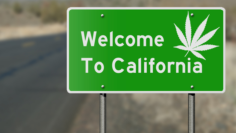Медицинская марихуана калифорния медицинская марихуана калифорния