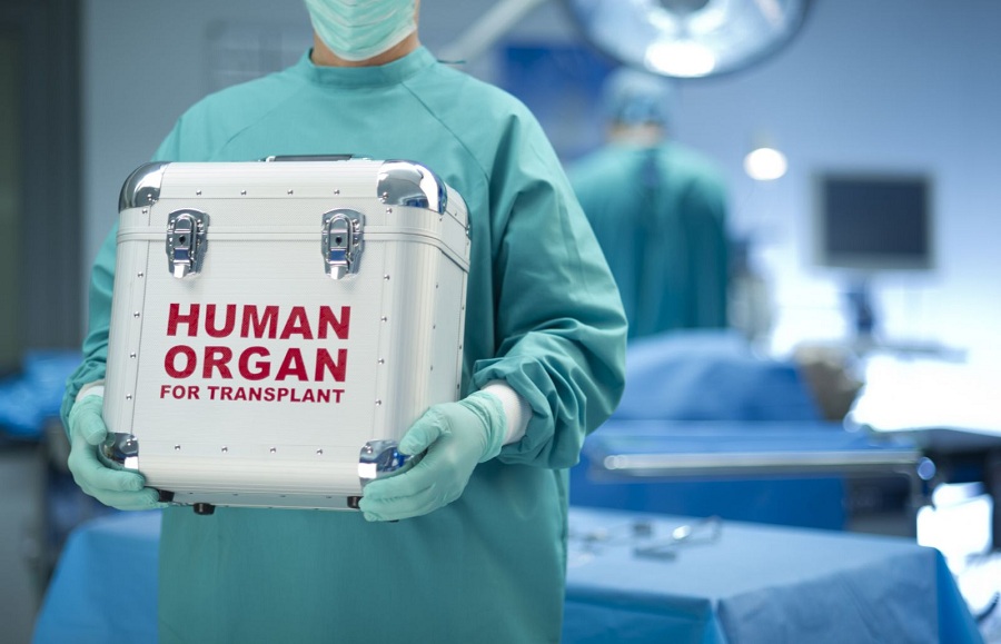 Нидерланды приняли закон об автоматическом донорстве органов после смерти