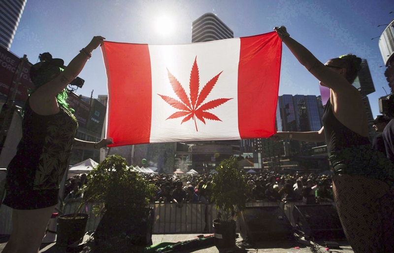 Законы о марихуане в канаде tor browser свой браузер hudra