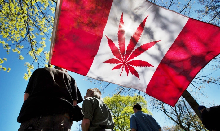 Легализация марихуаны в канада что значат полоски на тесте на марихуану