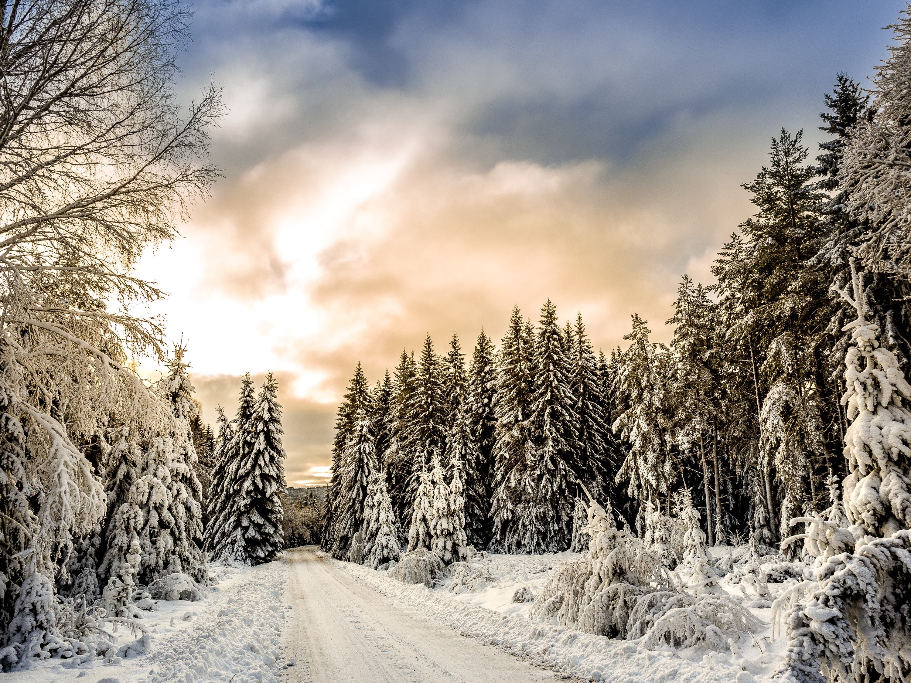 8 мест в Британской Колумбии, которые стоит посетить зимой