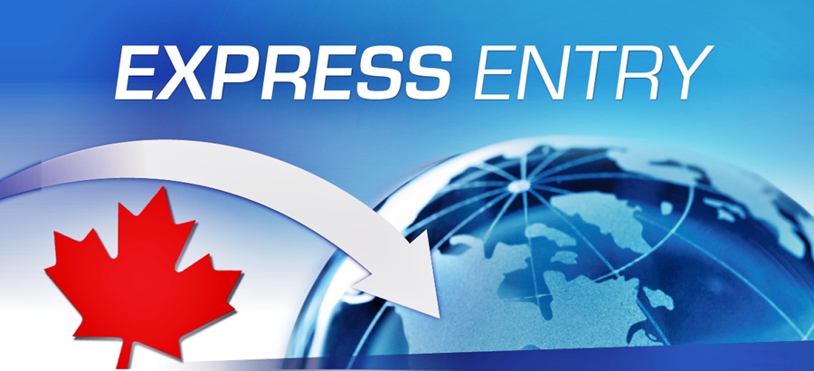Publicação de um perfil no sistema Express Entry