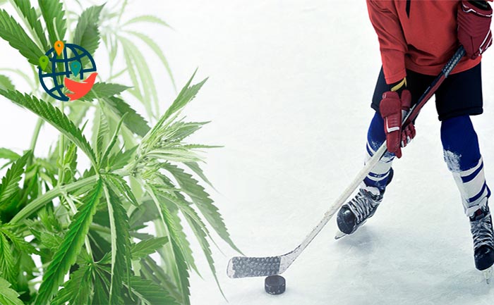 В Торонто вместо хоккейного катка будет поле с марихуаной