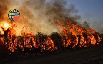 Un incendie de forêt près de Yellowknife ne devrait pas atteindre la ville d