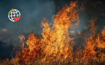 В Британской Колумбии продлили режим чрезвычайного положения