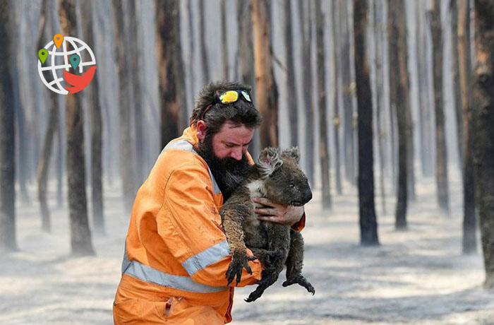 Канадские пожарные помогают австралийцам тушить страну