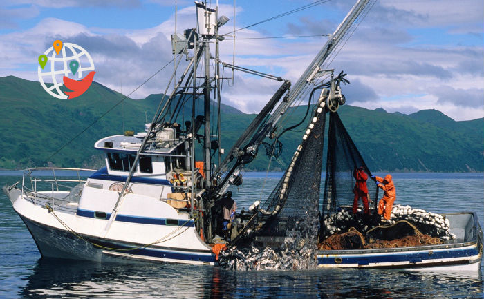Pescadores e trabalhadores da pesca no Canadá: quanto dinheiro pode ser ganho