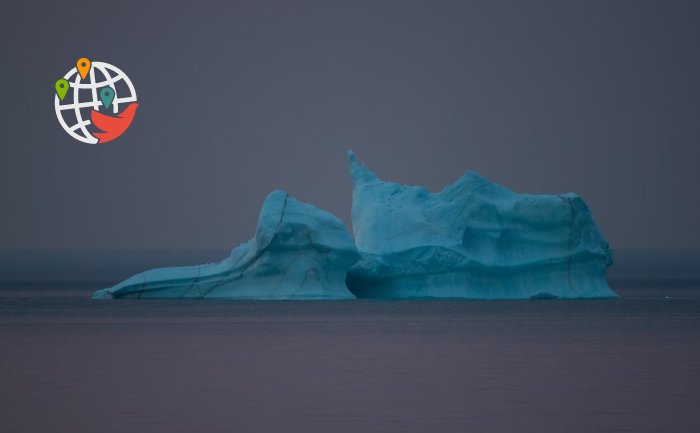 Icebergs are floating along the coast of Canada