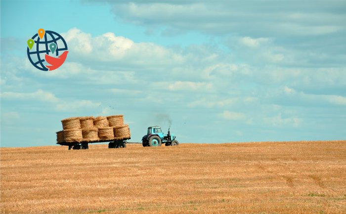 Immigrazione in Manitoba per gli agricoltori investitori