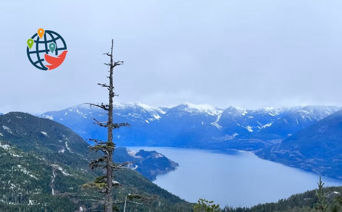 Immigration Selections in British Columbia